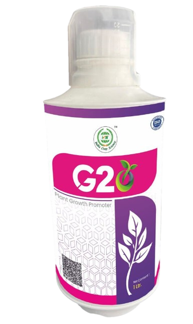 Long Product 3
