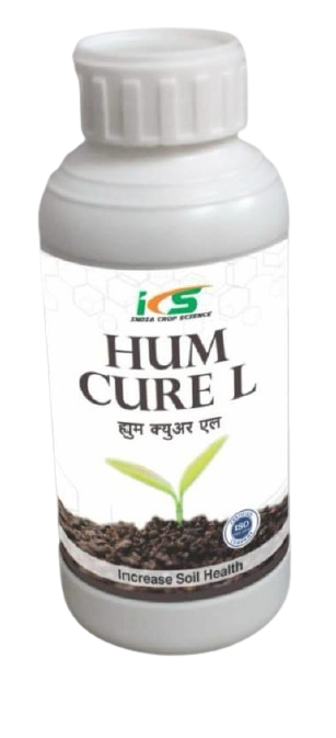 Long Product 3