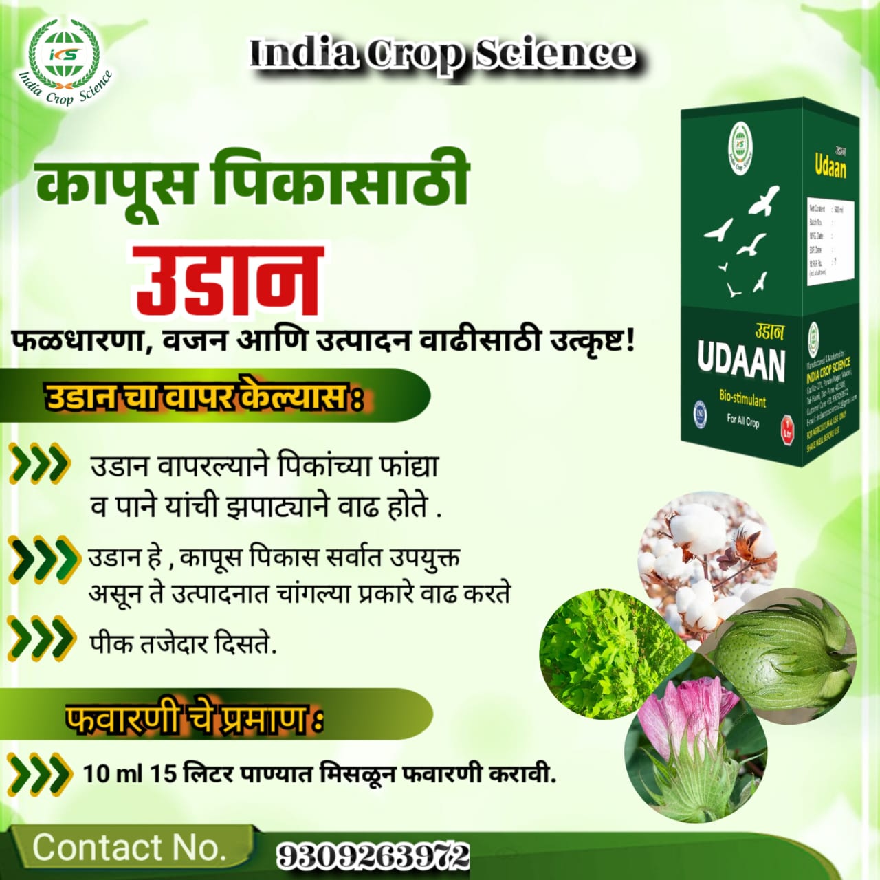 Udaan